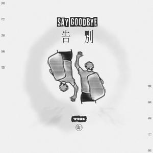 老欧性老太色HD大全
